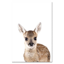 Load image into Gallery viewer, Baby Animal Poster
