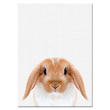 Load image into Gallery viewer, Baby Animal Poster
