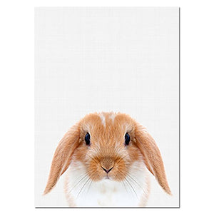 Baby Animal Poster