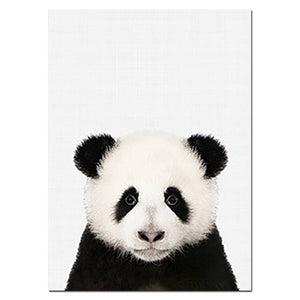 Baby Animal Poster