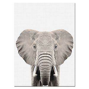 Baby Animal Poster