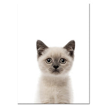 Load image into Gallery viewer, Baby Animal Poster
