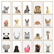 Load image into Gallery viewer, Baby Animal Poster
