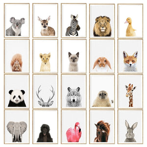 Baby Animal Poster